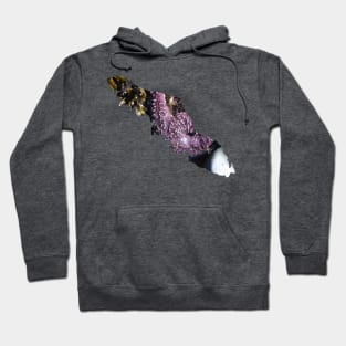 Vancouver Island Starfish Hoodie